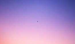 苹果最新机型爆料图片高清